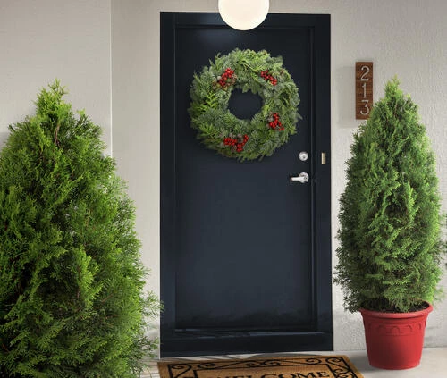 Schlage® Elan Satin Chrome Commercial Entry Door Lever And Single Cylinder Door Deadbolt 2 Schlage® Elan Satin Chrome Commercial Entry Door Lever And Single Cylinder Door Deadbolt - Image 2