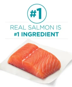 Purina ONE Purina® ONE Tender Selects Blend Salmon Dry Cat Food - 16 Lbs -Doors, Windows & Millwork Sales 2537107 P SC1