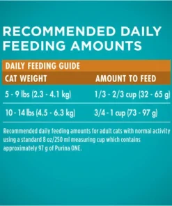 Purina ONE Purina® ONE Chicken & Rice Cat Food - 16 Lbs -Doors, Windows & Millwork Sales 2537108 P SC2