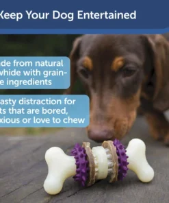 PetSafe® Busy Buddy® X-Small Treat Holding Bristle Bone® Dog Toy 9 PetSafe® Busy Buddy® X-Small Treat Holding Bristle Bone® Dog Toy -Doors, Windows & Millwork Sales BB BRI BN XS PT01