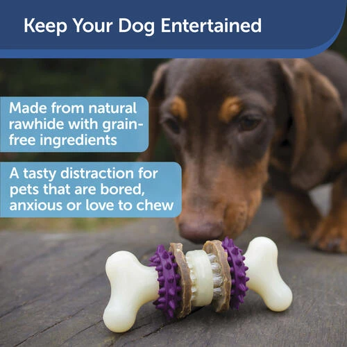 PetSafe® Busy Buddy® X-Small Treat Holding Bristle Bone® Dog Toy 3 PetSafe® Busy Buddy® X-Small Treat Holding Bristle Bone® Dog Toy - Image 3