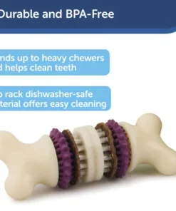 PetSafe® Busy Buddy® X-Small Treat Holding Bristle Bone® Dog Toy 10 PetSafe® Busy Buddy® X-Small Treat Holding Bristle Bone® Dog Toy -Doors, Windows & Millwork Sales BB BRI BN XS PT02