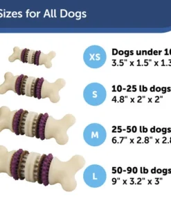 PetSafe® Busy Buddy® X-Small Treat Holding Bristle Bone® Dog Toy 11 PetSafe® Busy Buddy® X-Small Treat Holding Bristle Bone® Dog Toy -Doors, Windows & Millwork Sales BB BRI BN XS PT04