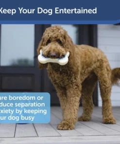 PetSafe® Busy Buddy® Size A Natural Rawhide Dog Toy Treat Rings - 16 Count 13 PetSafe® Busy Buddy® Size A Natural Rawhide Dog Toy Treat Rings - 16 Count -Doors, Windows & Millwork Sales BB RING PB A PT04