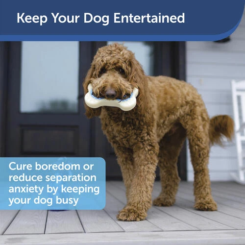 PetSafe® Busy Buddy® Size A Natural Rawhide Dog Toy Treat Rings - 16 Count 6 PetSafe® Busy Buddy® Size A Natural Rawhide Dog Toy Treat Rings - 16 Count - Image 6