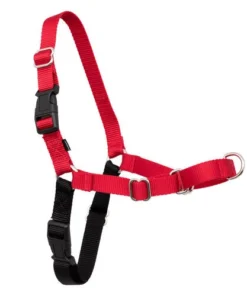 PetSafe® Easy Walk® Red/Black Harness - Large
