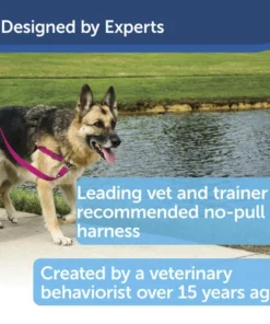 PetSafe® Easy Walk® Red/Black Harness - Large 8 PetSafe® Easy Walk® Red/Black Harness - Large -Doors, Windows & Millwork Sales EWH HC M BLK PT02