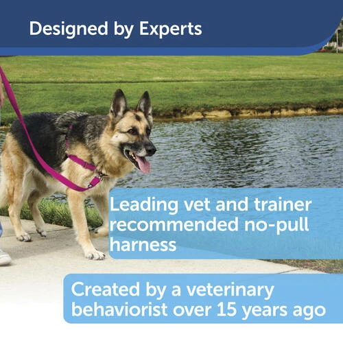 PetSafe® Easy Walk® Red/Black Harness - Large 3 PetSafe® Easy Walk® Red/Black Harness - Large - Image 3