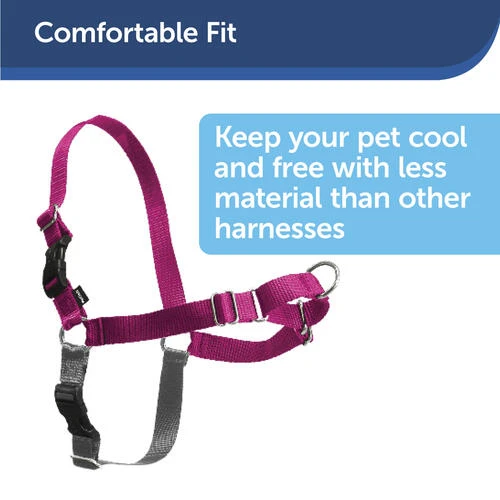 PetSafe® Easy Walk® Red/Black Harness - Large 4 PetSafe® Easy Walk® Red/Black Harness - Large - Image 4