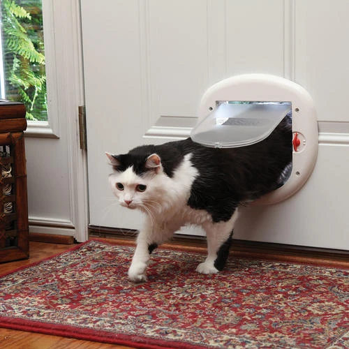 PetSafe® 7-1/8" X 7-1/2" Big Cat Door 2 PetSafe® 7-1/8" X 7-1/2" Big Cat Door - Image 2