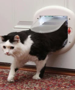 PetSafeĀ® 7-1/8" X 7-1/2" Big Cat Door