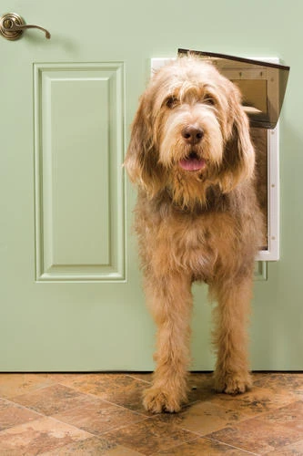 PetSafe® 10.12" X 16.87" Large Pet Door Replacement Flap 2 PetSafe® 10.12" X 16.87" Large Pet Door Replacement Flap - Image 2