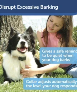 PetSafe® Basic Bark Control Dog Collar 11 PetSafe® Basic Bark Control Dog Collar -Doors, Windows & Millwork Sales PBC 102 PT01
