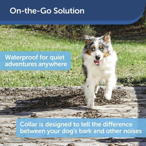 PetSafe® Basic Bark Control Dog Collar 4 PetSafe® Basic Bark Control Dog Collar - Image 4