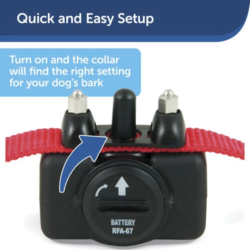 PetSafe® Basic Bark Control Dog Collar 5 PetSafe® Basic Bark Control Dog Collar - Image 5