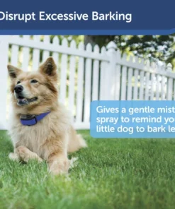 PetSafe® Elite Little Dog Spray Bark Control Dog Collar 13 PetSafe® Elite Little Dog Spray Bark Control Dog Collar -Doors, Windows & Millwork Sales PBC00 11283 PT01