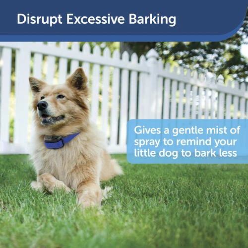 PetSafe® Elite Little Dog Spray Bark Control Dog Collar 7 PetSafe® Elite Little Dog Spray Bark Control Dog Collar - Image 7