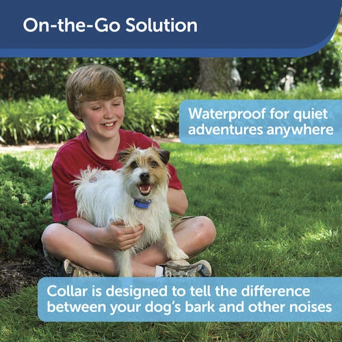 PetSafe® Elite Little Dog Spray Bark Control Dog Collar 2 PetSafe® Elite Little Dog Spray Bark Control Dog Collar - Image 2