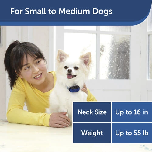 PetSafe® Elite Little Dog Spray Bark Control Dog Collar 5 PetSafe® Elite Little Dog Spray Bark Control Dog Collar - Image 5