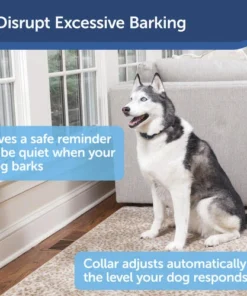 PetSafe® Rechargeable Bark Control Dog Collar -Doors, Windows & Millwork Sales PBC00 15999 PT01