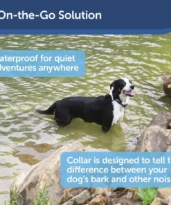 PetSafe® Rechargeable Bark Control Dog Collar -Doors, Windows & Millwork Sales PBC00 15999 PT02