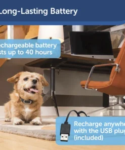 PetSafe® Rechargeable Bark Control Dog Collar -Doors, Windows & Millwork Sales PBC00 15999 PT04