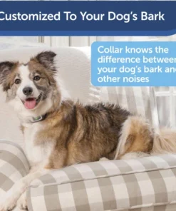 PetSafe® Citronella/Unscented Spray Bark Control Dog Collar -Doors, Windows & Millwork Sales PBC00 16368 PT01