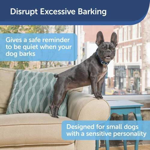 PetSafe® Lite Rechargeable Bark Dog Collar 3 PetSafe® Lite Rechargeable Bark Dog Collar - Image 3