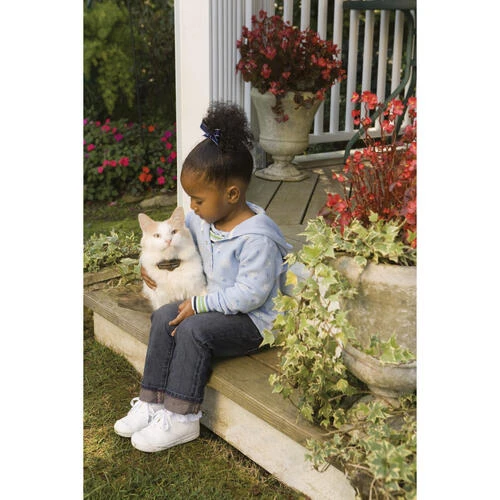 PetSafe® In-Ground Cat Fence 3 PetSafe® In-Ground Cat Fence - Image 3