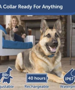 PetSafe® SMART DOG Trainer Dog Collar -Doors, Windows & Millwork Sales PDT00 15748 PT03