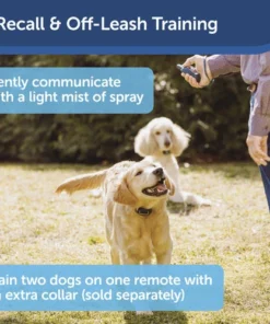 PetSafe® Remote Spray Trainer Dog Collar -Doors, Windows & Millwork Sales PDT00 16395 PT02