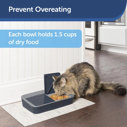 PetSafe® Digital Two Meal Pet Feeder 2 PetSafe® Digital Two Meal Pet Feeder - Image 2