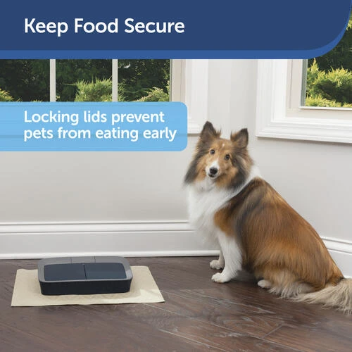 PetSafe® Digital Two Meal Pet Feeder 3 PetSafe® Digital Two Meal Pet Feeder - Image 3