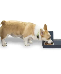 PetSafe® Digital Two Meal Pet Feeder 15 PetSafe® Digital Two Meal Pet Feeder -Doors, Windows & Millwork Sales PFD00 15426 PT06
