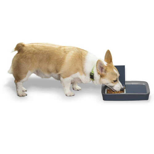 PetSafe® Digital Two Meal Pet Feeder 8 PetSafe® Digital Two Meal Pet Feeder - Image 8