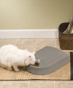 PetSafe® Eatwell™ 5-Meal Automatic Pet Feeder -Doors, Windows & Millwork Sales PFD11 13707 Eatwell 5 Meal Feeder Scene 1