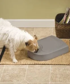 PetSafe® Eatwell™ 5-Meal Automatic Pet Feeder -Doors, Windows & Millwork Sales PFD11 13707 Eatwell 5 Meal Feeder Scene 2