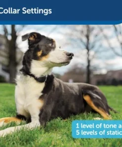 PetSafe® Free To Roam™ Wireless Pet Containment System 14 PetSafe® Free To Roam™ Wireless Pet Containment System -Doors, Windows & Millwork Sales PIF00 15001 PT04