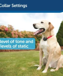 PetSafe® In-Ground Fence™ Pet Containment System 10 PetSafe® In-Ground Fence™ Pet Containment System -Doors, Windows & Millwork Sales PIG00 13661 PT04