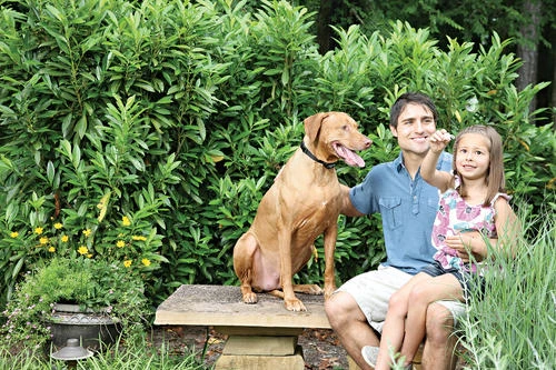 PetSafe® Rechargeable In-Ground Pet Fence 2 PetSafe® Rechargeable In-Ground Pet Fence - Image 2