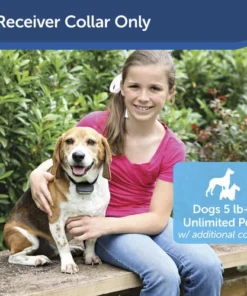 PetSafe® Rechargeable In-Ground Pet Fence Receiver W/Charger -Doors, Windows & Millwork Sales PIG00 13737 PT01