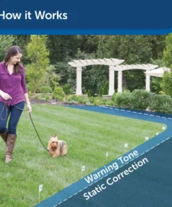 PetSafe® Rechargeable In-Ground Pet Fence Receiver W/Charger -Doors, Windows & Millwork Sales PIG00 13737 PT03