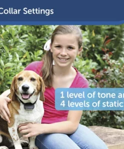 PetSafe® Rechargeable In-Ground Pet Fence 9 PetSafe® Rechargeable In-Ground Pet Fence -Doors, Windows & Millwork Sales PIG00 14673 PT04