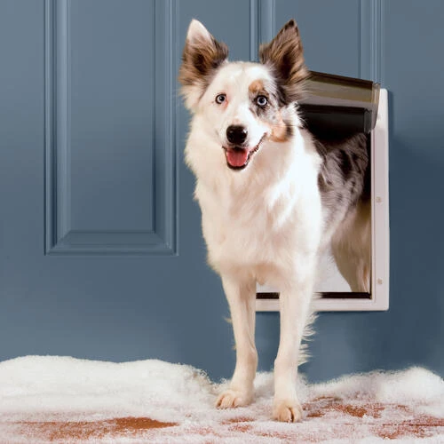 PetSafe® 8.12" X 12.25" Medium White Extreme Weather Pet Door 1 PetSafe® 8.12" X 12.25" Medium White Extreme Weather Pet Door