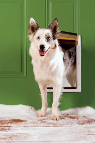 PetSafe® 8.12" X 12.25" Medium White Extreme Weather Pet Door 2 PetSafe® 8.12" X 12.25" Medium White Extreme Weather Pet Door - Image 2