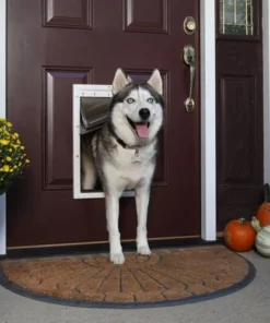 PetSafe® Large White Extreme Weather Pet Door - 10.12" X 16.25"
