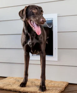 PetSafe® 10" X 15" Large Wall Entry Pet Door