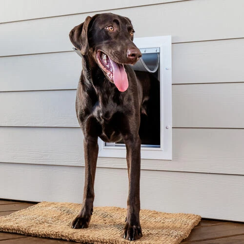 PetSafe® 10" X 15" Large Wall Entry Pet Door 1 PetSafe® 10" X 15" Large Wall Entry Pet Door