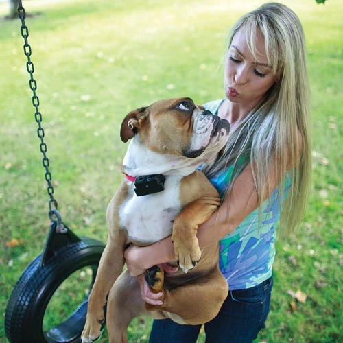 PetSafe® In-Ground Stubborn Pet Fence Receiver Dog Collar 2 PetSafe® In-Ground Stubborn Pet Fence Receiver Dog Collar - Image 2