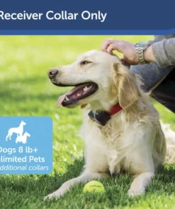 PetSafe® In-Ground Stubborn Pet Fence Receiver Dog Collar 12 PetSafe® In-Ground Stubborn Pet Fence Receiver Dog Collar -Doors, Windows & Millwork Sales PRF 275 19 PT01